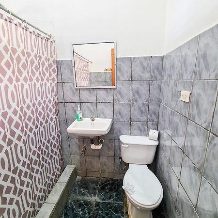 Cabinas Coco Alegre Eksteriør billede